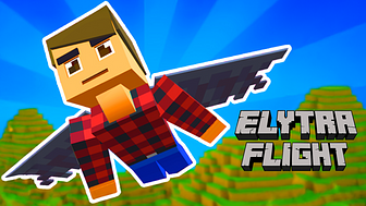 Elytra Flight