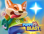 Puppy Blast