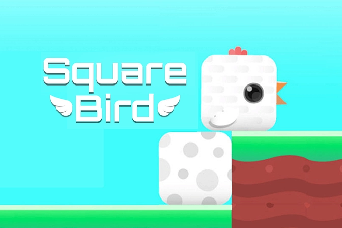 Square Bird